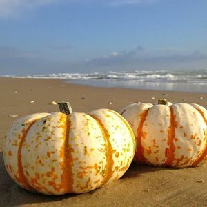 Meet your Posher, Carolyn